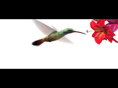 Natural beauty of nature