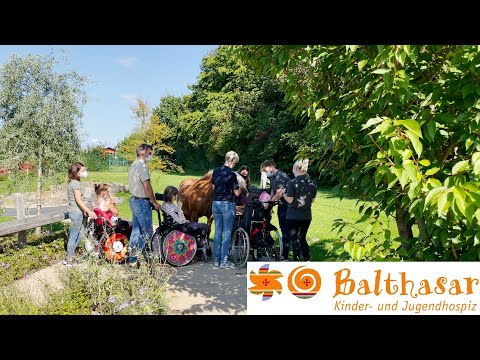 Mit dem Pferd zum Kinder- und Jugendhospiz 🐴❤️ | Royal Horsemen®