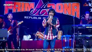 Download lagu UNMISSING - Gus Lucky THE PRIMA DONNA OF YUSUF & FIFI'S WEDDING - MAYONG LOR JEPARA - RIZKY AUDIO mp3 Download lagu UNMISSING - Gus Lucky THE PRIMA DONNA OF YUSUF & FIFI'S WEDDING - MAYONG LOR JEPARA - RIZKY AUDIO mp3