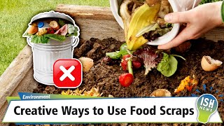 Creative Ways to Use Food Scraps