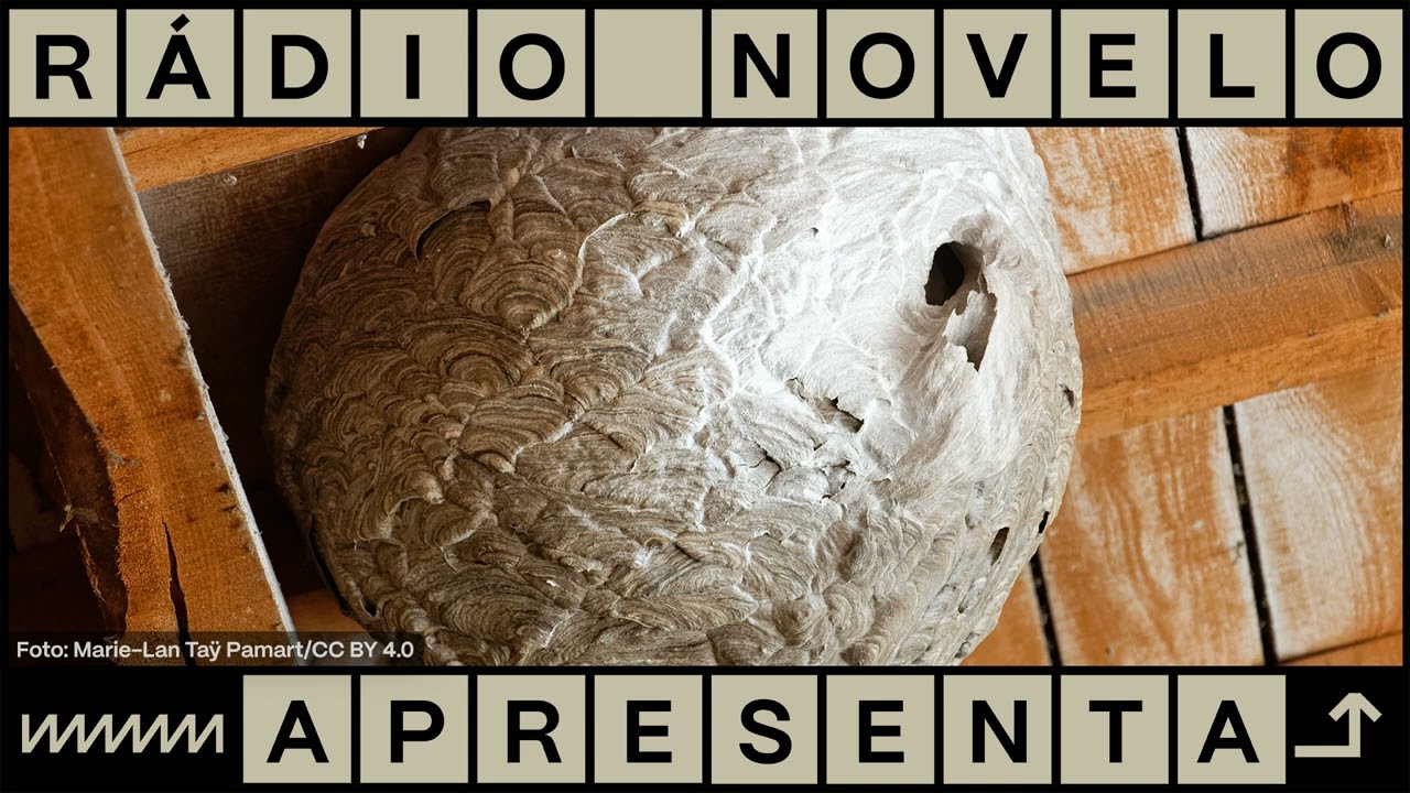 Mexer no vespeiro | Podcast Rádio Novelo Apresenta