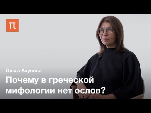История сюжета романа «Метаморфозы, или Золотой осел» — Ольга Ахунова  ПостНаука