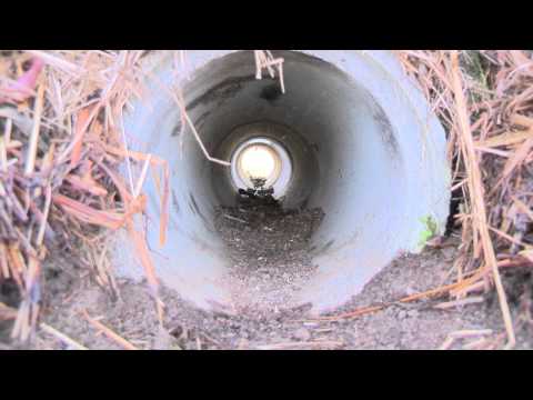 Fangjagd - unterschiedliche Fallentypen im Überblick