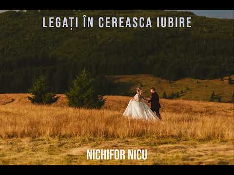 Tudor Oleniuc and Nichifor Nicu 🎵🎶