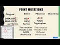 Substitution & Frameshift Mutations AP Biology Topic 6.7