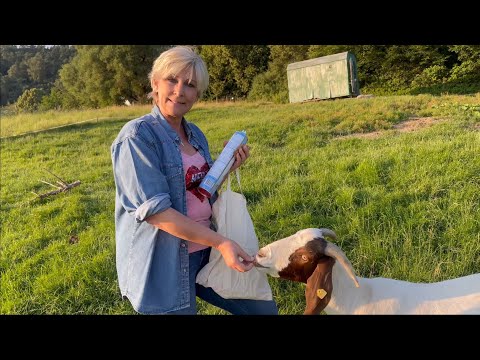 Radio Schlagerparadies - Dir durchgeknallte Sommerhitparade mit Claudia Jung