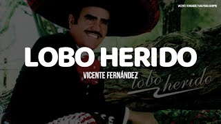 Vicente Fernández - Lobo Herido (LETRA)