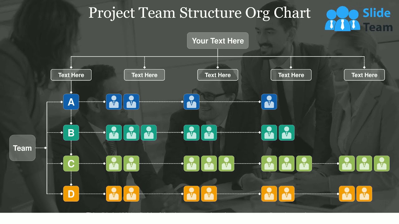 Project Team Structure Org Chart