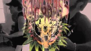 SawGrass Practice Clip