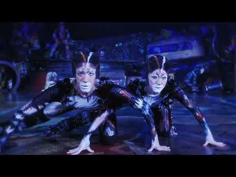Cats the Musical - Sydney