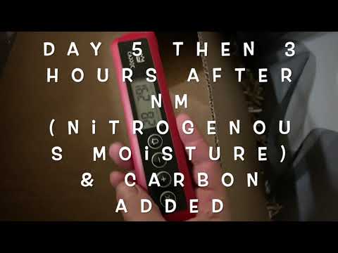 Pre Composting Trial PT 3 Making Worm Bedding Farming MICROBES for MASS Castings in 12-15 sq Inches!