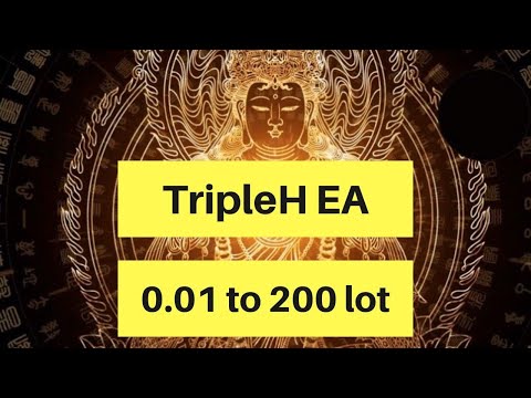 Video TripleH MTFive
