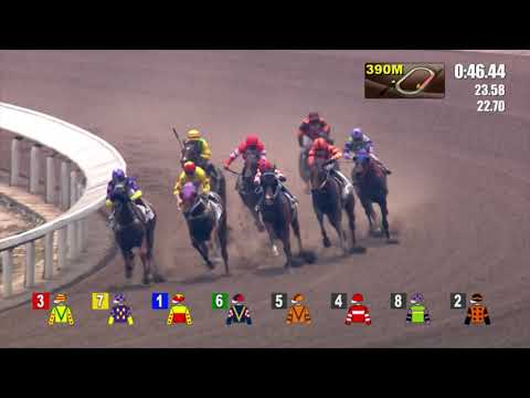 18/9/2022 (19) California Vanes - Z Purton