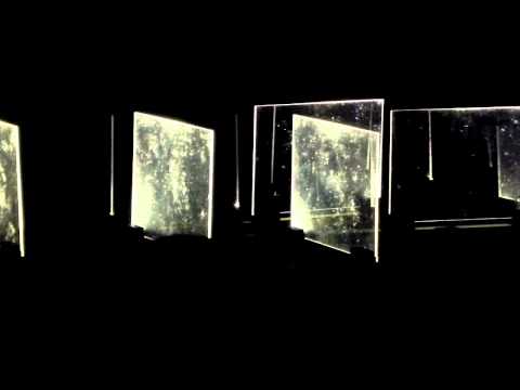 Nicolas Bernier : Synthetic Variations live
