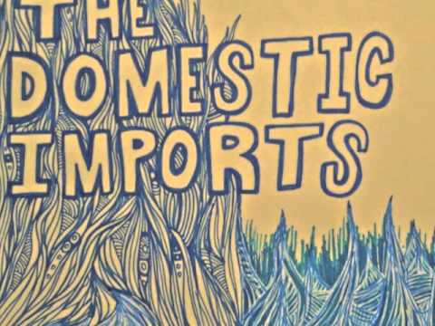 The Domestic Imports - Your Favorite Song