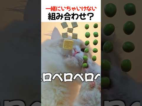 一緒にいちゃいけない組み合わせ？