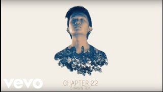 Shawn Tok - Perfectly Strangers (Official Audio)