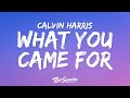 Calvin Harris & Rihanna - This Is What You Came For (Lyrics)