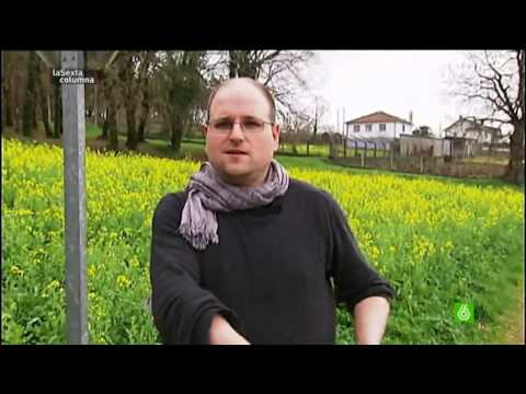 Pokemon en Boqueixón