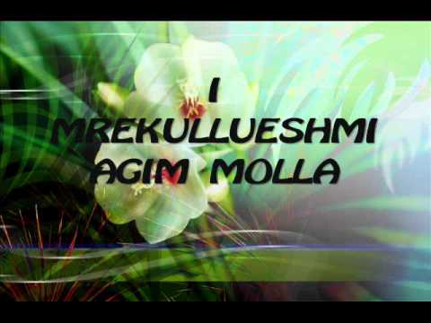 AGIM MOLLA - sylqabegu.wmv