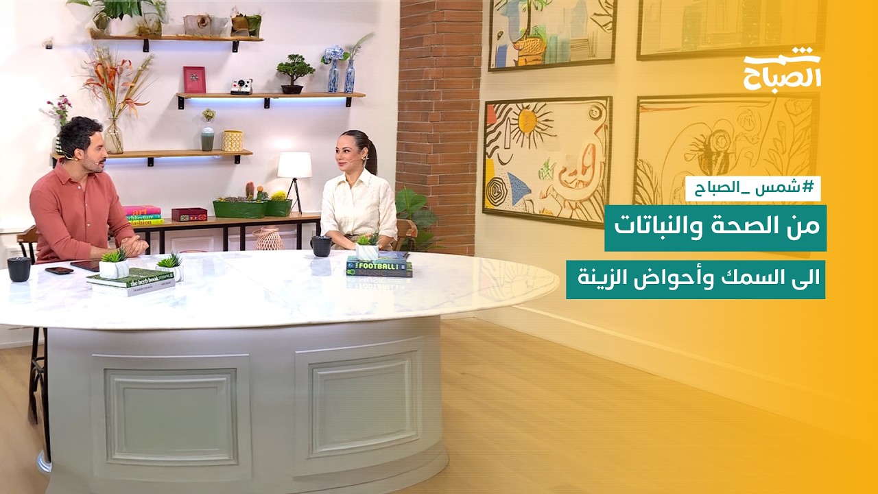 فيديو | شمس الصباح | من النباتات العصارية إلى الدوخة والإنتاجية المفرطة