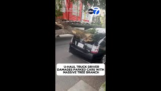 U-Haul truck driver damages parked cars with massive tree branch