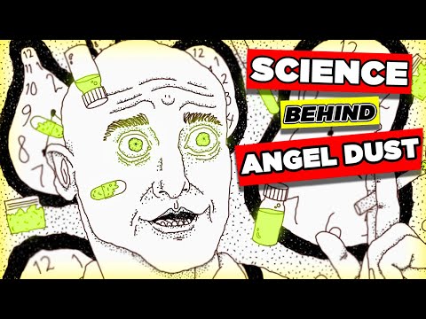 PCP - The Science Behind the High