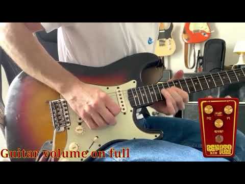 Renato Effects - Renato Fuzz Silicon image 3