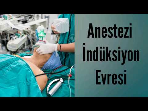 Genel Anestezi Uygulaması/Okan Üniversitesi SHMYO Anestezi Programı Simülasyon Uygulamaları