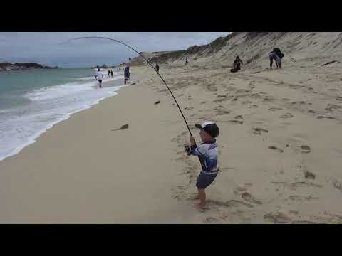 3 year old catching 6kg salmon from the beach