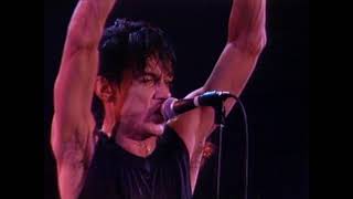 Iggy Pop - Five Foor One - 11/14/1986 - Ritz
