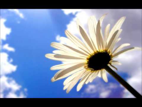 A mund te falemi pas namazit te vitrit? Ahmed Kalaja