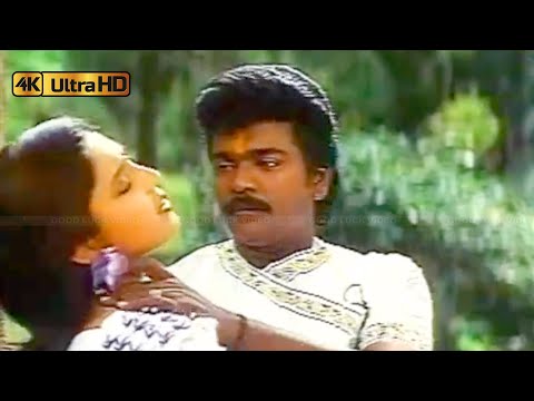 சக்கர கட்டி பாடல் | Sakkara Katti Song | S. P. Balasubrahmanyam, S. Janaki | Ulle Veliye .