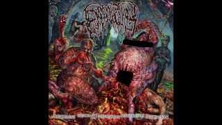 Epicardiectomy - Vaginal Colony Full Of Vermin