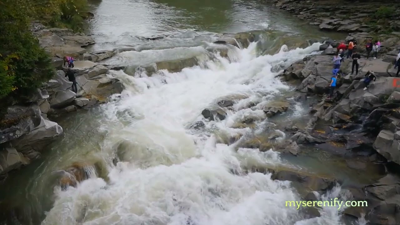 Exploring Qi Meditation Techniques for Enhanced Well-being, qi meditation techniques