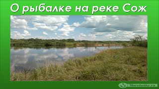 Самая подробная карта реки сож для рыбалки