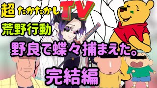 超たかたかしTV〜野良で蝶々捕まえた完結編〜