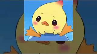 Download lagu Doraemon song //Japanese//pipo// Amu to emu no uta mp3 Download lagu Doraemon song //Japanese//pipo// Amu to emu no uta mp3