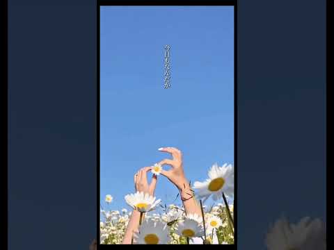 今週もお仕事や学校、お疲れ様でした🖐️ #明日でいいや #SALT. #オリジナル曲 #おすすめ