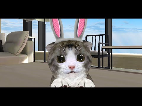 ChoCho Cat Video