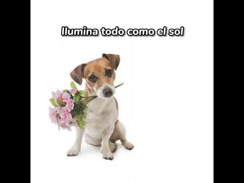 la maravilla de esa boca