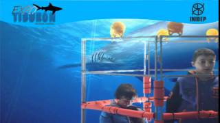 DIA 2 Expo Tiburon230