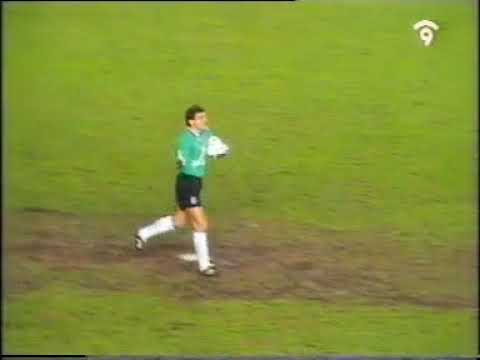 Temp 93-94 Jornada 25 Rayo Vallecano 1 - 1 Valencia CF