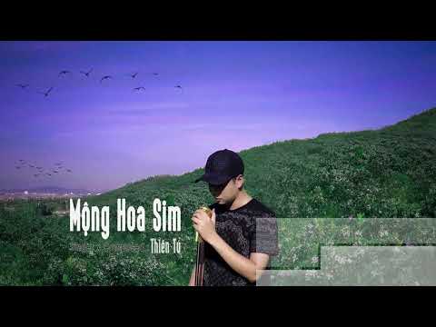KARAOKE ♫ MỘNG HOA SIM - THIÊN TÚ   ( BEAT CHUẨN ) | Nhạc Hot TikTok Hay 2022