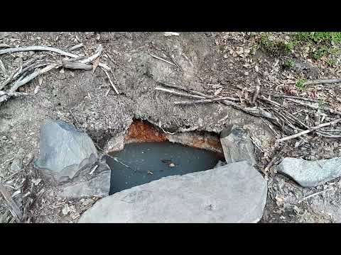 Băile Fetelor Apor. 4.VIII.2021.