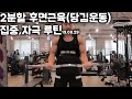 Daily Workout 2 후면근육(당기는) Rear Muscle(Pull)