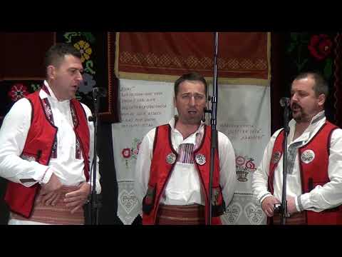 Krajiški biseri 2019 - KUD Dr Mladen Stojanović - Volila me, ne volila mala