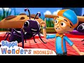 Semut Blippi Bahasa Indonesia Video Anak Anak