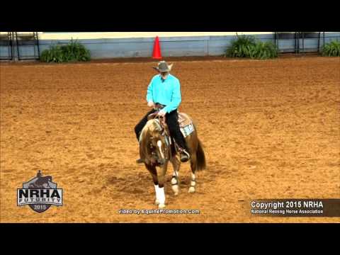 Elektra Dun It 1st go NRHA Futurity 2015