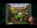 Creating A MASSIVE Poison Frog Vivarium